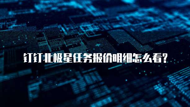 钉钉北极星任务报价明细怎么看?
