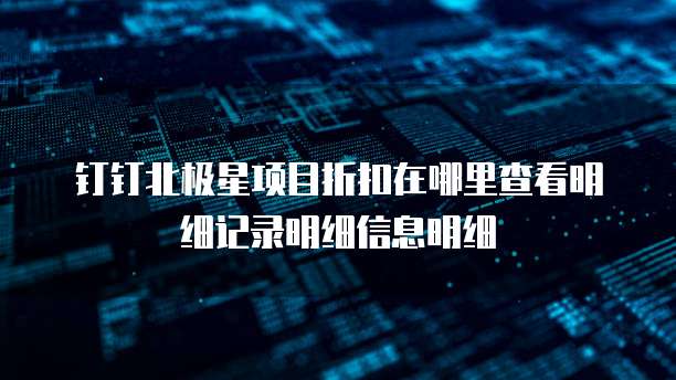 钉钉北极星项目折扣在哪里查看明细记录明细信息明细