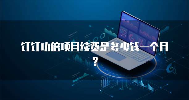 钉钉功倍项目续费是多少钱一个月？