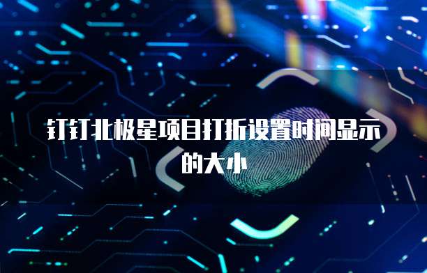钉钉北极星项目打折设置时间显示的大小