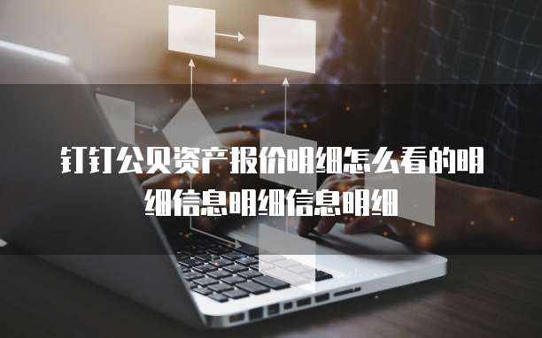 钉钉公贝资产报价明细怎么看的明细信息明细信息明细