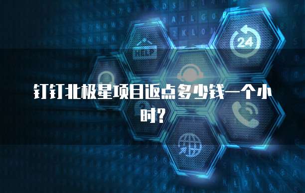 钉钉北极星项目返点多少钱一个小时？