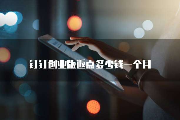 钉钉创业版返点多少钱一个月