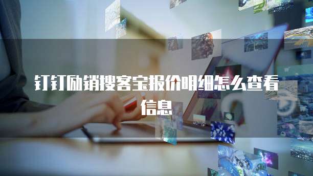 钉钉励销搜客宝报价明细怎么查看信息