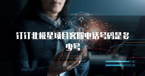 钉钉北极星项目客服电话号码是多少号