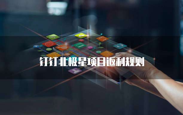 钉钉北极星项目返利规则