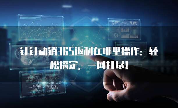钉钉动销365返利在哪里操作:轻松搞定,一网打尽!