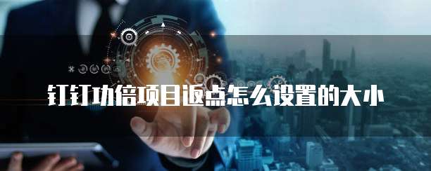钉钉功倍项目返点怎么设置的大小