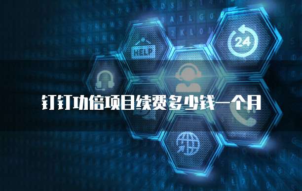 钉钉功倍项目续费多少钱一个月