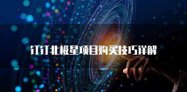 钉钉北极星项目购买技巧详解
