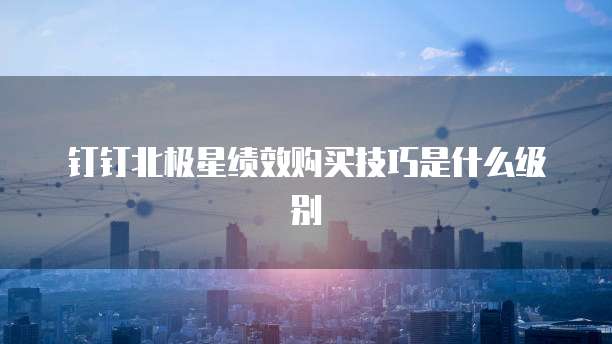 钉钉北极星绩效购买技巧是什么级别