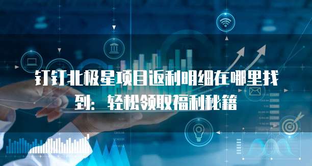 钉钉北极星项目返利明细在哪里找到:轻松领取福利秘籍