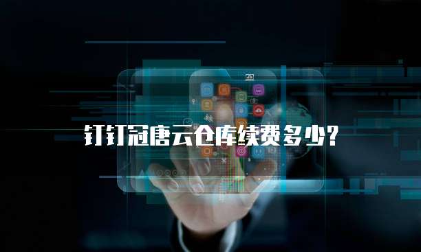 钉钉冠唐云仓库续费多少？