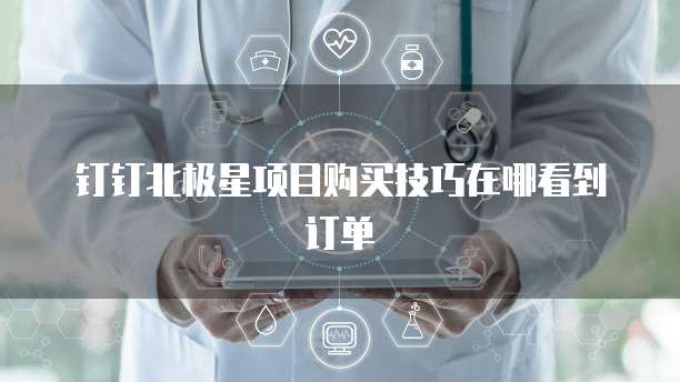 钉钉北极星项目购买技巧在哪看到订单