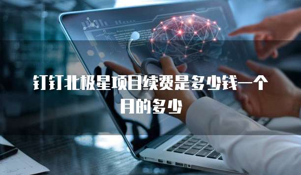 钉钉北极星项目续费是多少钱一个月的多少