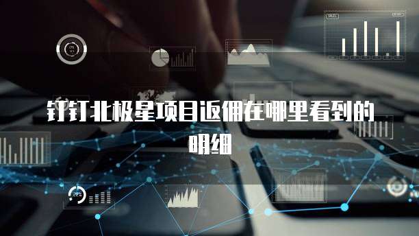 钉钉北极星项目返佣在哪里看到的明细