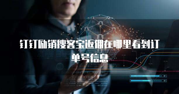 钉钉励销搜客宝返佣在哪里看到订单号信息