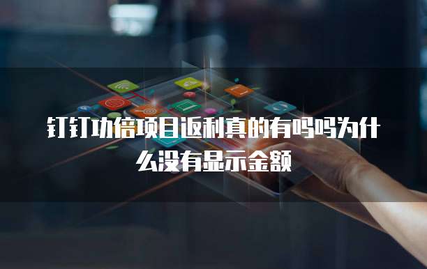 钉钉功倍项目返利真的有吗吗为什么没有显示金额