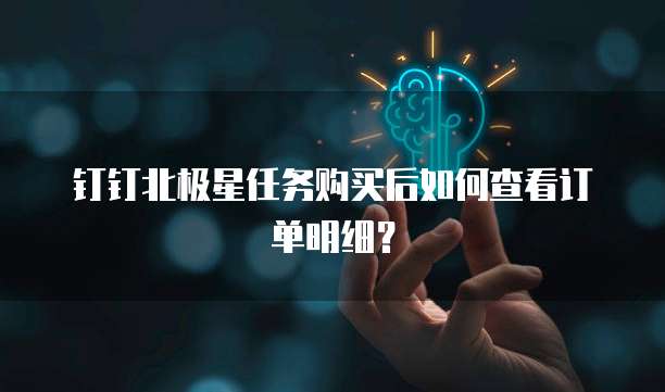 钉钉北极星任务购买后如何查看订单明细？