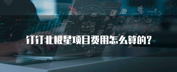 钉钉北极星项目费用怎么算的?