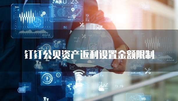 钉钉公贝资产返利设置金额限制