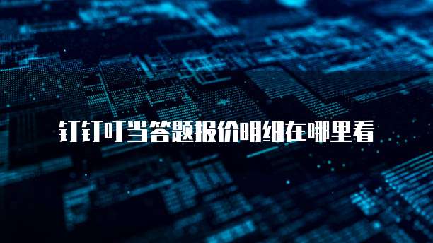 钉钉叮当答题报价明细在哪里看