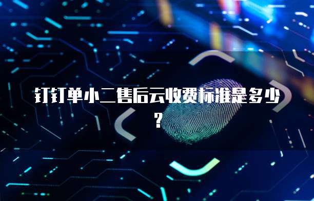 钉钉单小二售后云收费标准是多少？