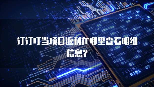 钉钉叮当项目返利在哪里查看明细信息?