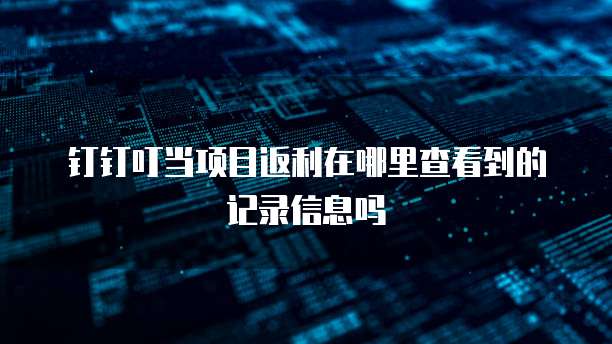 钉钉叮当项目返利在哪里查看到的记录信息吗