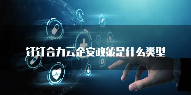 钉钉合力云企安政策是什么类型
