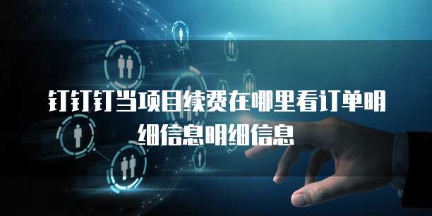 钉钉钉当项目续费在哪里看订单明细信息明细信息