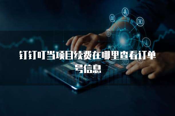 钉钉叮当项目续费在哪里查看订单号信息