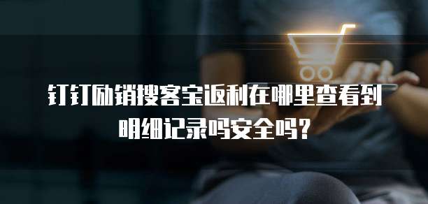 钉钉励销搜客宝返利在哪里查看到明细记录吗安全吗？