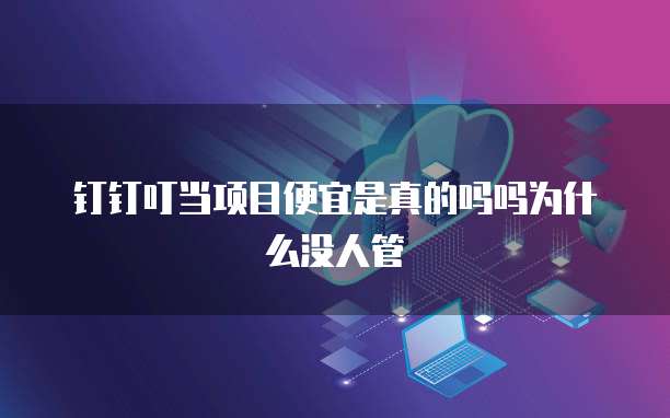 钉钉叮当项目便宜是真的吗吗为什么没人管