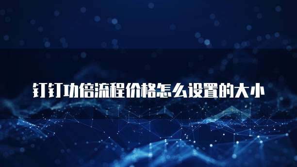 钉钉功倍流程价格怎么设置的大小