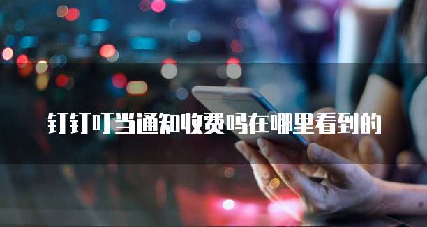 钉钉叮当通知收费吗在哪里看到的