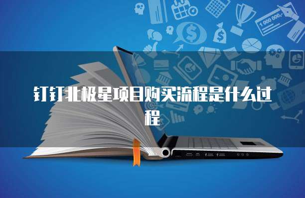钉钉北极星项目购买流程是什么过程