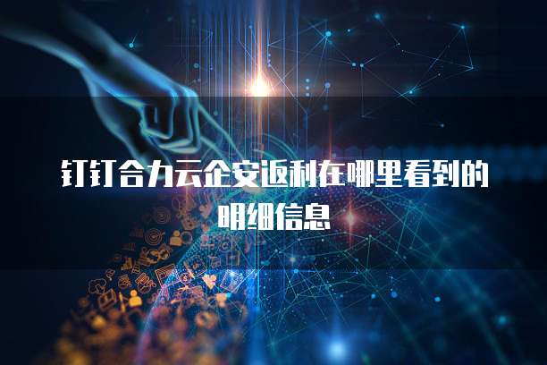 钉钉合力云企安返利在哪里看到的明细信息