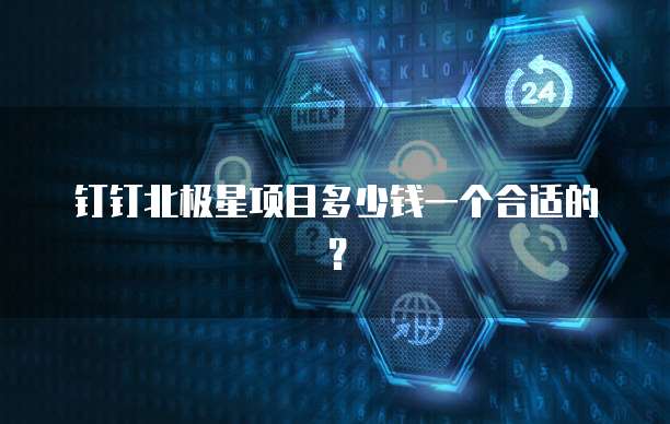 钉钉北极星项目多少钱一个合适的？