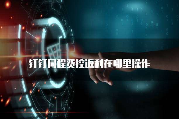 钉钉同程费控返利在哪里操作