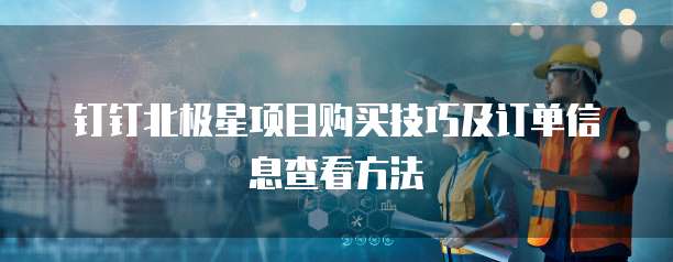 钉钉北极星项目购买技巧及订单信息查看方法