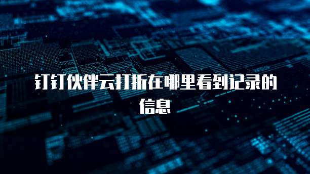 钉钉伙伴云打折在哪里看到记录的信息