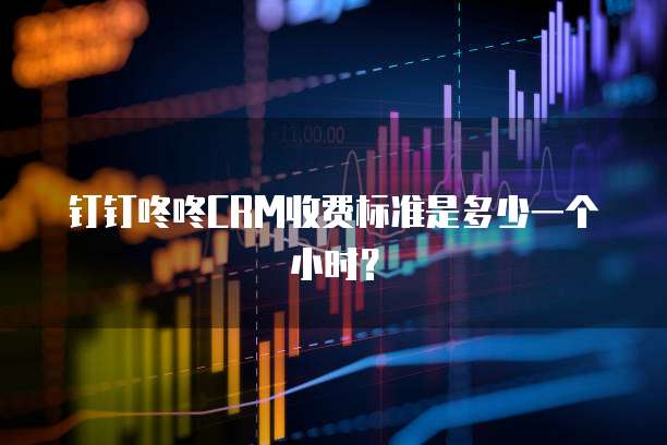 钉钉咚咚CRM收费标准是多少一个小时？