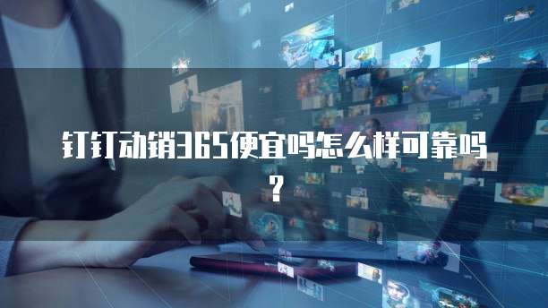 钉钉动销365便宜吗怎么样可靠吗?