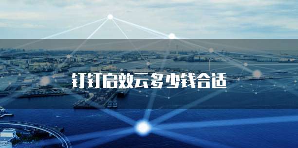 钉钉启效云多少钱合适