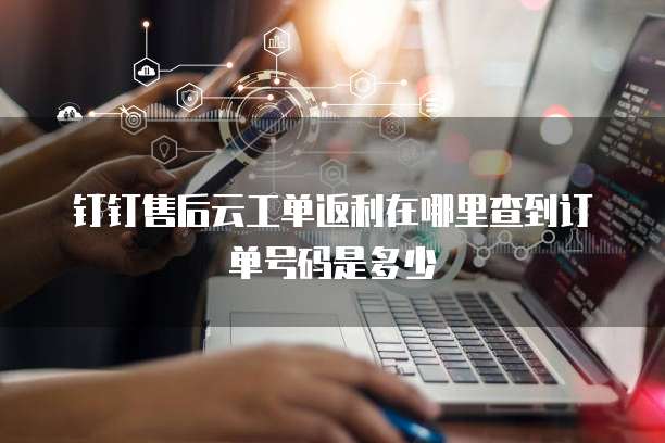 钉钉售后云工单返利在哪里查到订单号码是多少