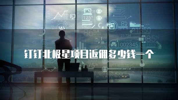 钉钉北极星项目返佣多少钱一个
