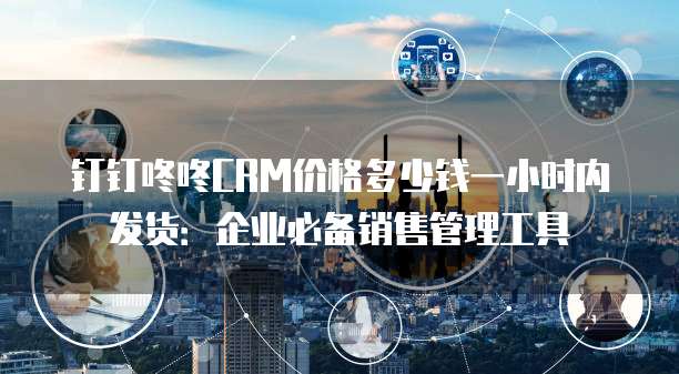 钉钉咚咚CRM价格多少钱一小时内发货:企业必备销售管理工具