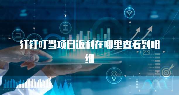 钉钉叮当项目返利在哪里查看到明细