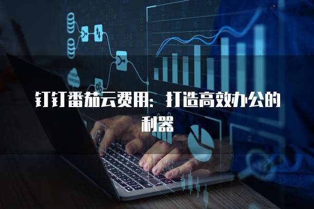 钉钉番茄云费用:打造高效办公的利器